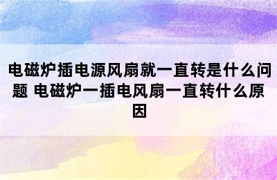 电磁炉插电源风扇就一直转是什么问题 电磁炉一插电风扇一直转什么原因